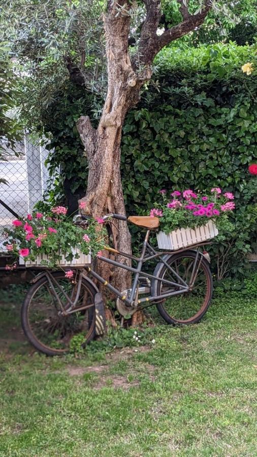 Bed & Breakfast Agli Aceri Verona Exterior foto